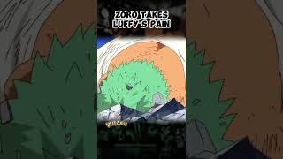 How did Zoro survive Luffy's pain?  #onepiece