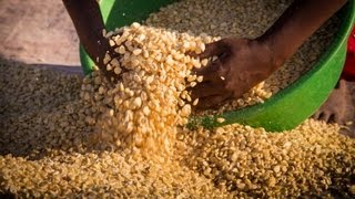 Zambian Village Life