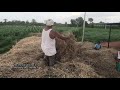 ಹುಲ್ಲು ವಾಮೆ ಮೇಧೆ dry fodder protection technique straw protection best fodder maintenance