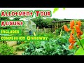 Allotment Garden Tour August 2021 (UK) Homegrown Garden Walk | Sunflowers are so Tall!