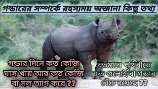 গন্ডারের সম্পর্কে অজানা কিছু তথ্য