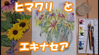 【透明水彩画】ヒマワリとエキナセア