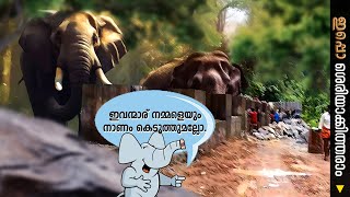 ഇഴഞ്ഞുനീങ്ങുന്ന ആന മതിൽ നിർമ്മാണം...| ഇപ്പം ശരിയാക്കിത്തരാം EP 72