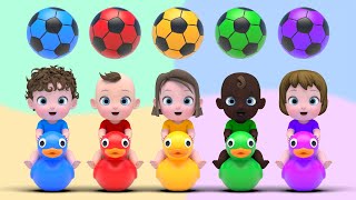 5 Color Ball Playground Song & Twinkle Twinkle Little Star Nursery Rhymes & Kids Song | Kindergarten