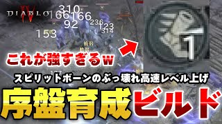 【初心者必見】回避で楽々レベル上げ！スピリットボーンの序盤おすすめ育成ビルド紹介【ディアブロ4】