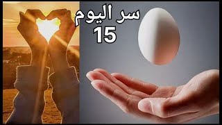 لماذا عند إتمام عمر الفرخ 15يوم  |   طريقه التأكيل اليدوي وعدد المرات  و طريقه التدريب ❤️❤️❤️