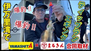 伊万里湾でティップランエギング!! YAMASHITA エギ王TRで爆釣!!【つり具のまるきん釣り情報】