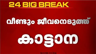 തൃശൂർ താമരവെള്ളച്ചാലിൽ കാട്ടാന ആക്രമണത്തിൽ ആദിവാസി കൊല്ലപ്പെട്ടു | Thrissur Elephant Attack