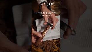 Oliva Serie V Melanio Torpedo