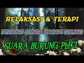 RELAKSASI DAN TERAPI DEGUNG SUNDA KACAPI SULING DAN SUARA BURUNG PLECI