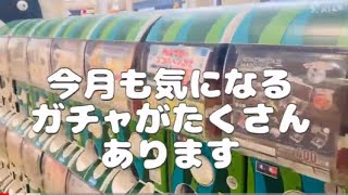 ２日目の？!　おでんリングガチャガチャ回してみた！