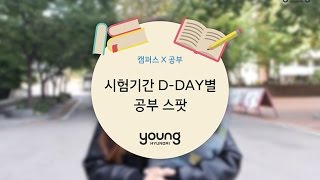 [영현대] 시험기간 D-DAY별 공부 스팟!