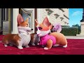 The Queen's Corgi - Mitzi butt scenes