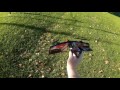 air hogs fury jump jet vtol review and flight