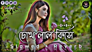 চোখ লাল কিসে | Chokh lal kise | Bangla New Viral Lofi Song | (Slowed+Reverb) Lofi Song 2024