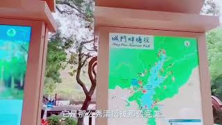 香港城門水塘的第十一集#四川妹子在香港