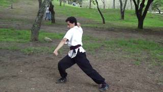 Shaolin Chang Quan Yi Lu