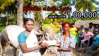 அத்திகானூர் முதல் பரிசு|| திவ்யா எக்ஸ்பிரஸ் || ERUTHU VIDUM THIRUVIZLA