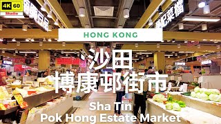 沙田 博康邨街市 4K | Sha Tin - Pok Hong Estate Market | DJI Pocket 2 | 2023.05.15