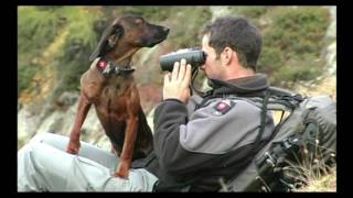 Ranger im Schweizer Nationalpark