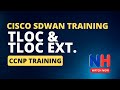 Cisco SD-WAN Essentials | Understanding TLOC Options and Extension Labs #networkershome