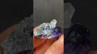 Lustrous Tanzanite Colored Fluorite Crystals with Quartz - DallasStoneworks.com #minerals #crystals