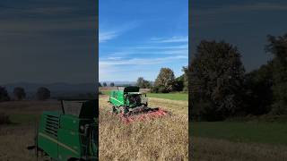 Žetev sončnic / John deere HillMaster #johndeere #sunflowers #harvesting