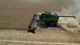 Wheat Harvest 2024