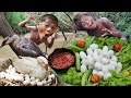 Primitive Technology - Kmeng Prey - Meet Goose And Cooking Egg Eating delicious