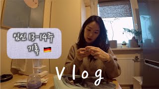 [VLOG] 독일일상 : 임신 13-14주 기록 | 하모니테스트(NIPT), 임산부 영양제, 드럭스토어에서 받은 출산선물