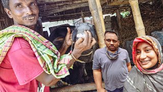 কুরবানীর গরু কিনে আনলাম সবাই মিলে