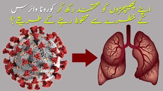 Healthy Lungs| صحت مند پھیپھڑے | স্বাস্থ্যকর ফুসফুস | स्वस्थ फेफड़े | Broadcast Viral