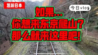 【葱游日本】东京人最爱的爬山圣地！满山灵气高尾山你一定要来