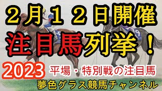 【注目馬列挙・平場予想】2023年2月12日JRA平場特別戦！土曜日12頭中6頭が馬券内！穴馬はバイアスの逆から狙う？