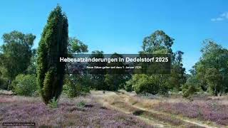 Hebesatzänderungen in Dedelstorf 2025 - Gewerbesteuer News