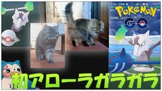 【ポケモンGO】アローラガラガラ初レイド＆ゲットチャレンジ！