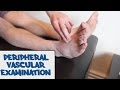 Peripheral Vascular Examination - OSCE Guide  (old version) | UKMLA | CPSA