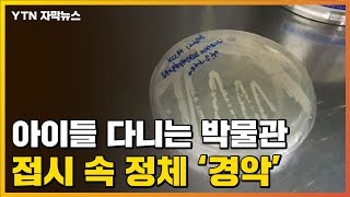 [자막뉴스] 박물관에 방치된 의문의 접시...충격적인 정체 / YTN