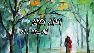 삶의 신비/박노해