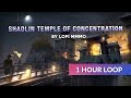 Japanese Lofi - Shaolin Temple Of Concentration FOR 1 HOUR [lofi hip hop/relaxing beats] LOFI MMMO