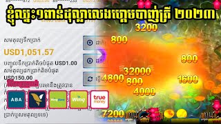 ឈ្នះលុយ 1000$ លេងហ្គេមបាញ់ត្រី | ហាមផុសតកម្មសិទ្ធិរបស់ខ្ញុំ Make Money online Wing96