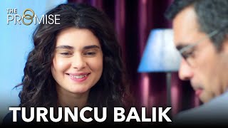 Turuncu balık | Yemin 278. Bölüm