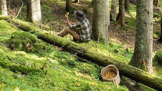 Kleiner Wald-Knigge: Was im Wald erlaubt ist