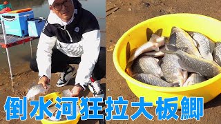 [Deng Gang Fishing] In the ”Wild Fishing Tournament” of the Daoshui River, today I pulled the big p