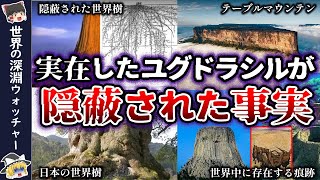 【ゆっくり解説】考古学者も震えた古代にユグドラシルが世界中に存在していた証拠と隠蔽された裏側【巨大樹】