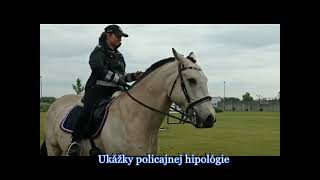 Ukážky policajnej hipológie