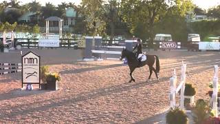 Winning $10,000 Low Junior Jumper Classic WEF 6