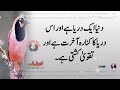 dolat chahte ho allah ka ye nam 313 bar parhlo hakeem luqman quotes s.t motivation87