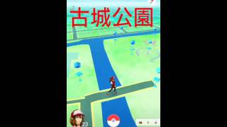 ポケモンGOカブトの巣