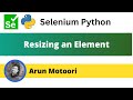 Resizing an element using Selenium Python (Selenium Python)